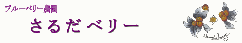 ブルーベリー園 さるだベリー